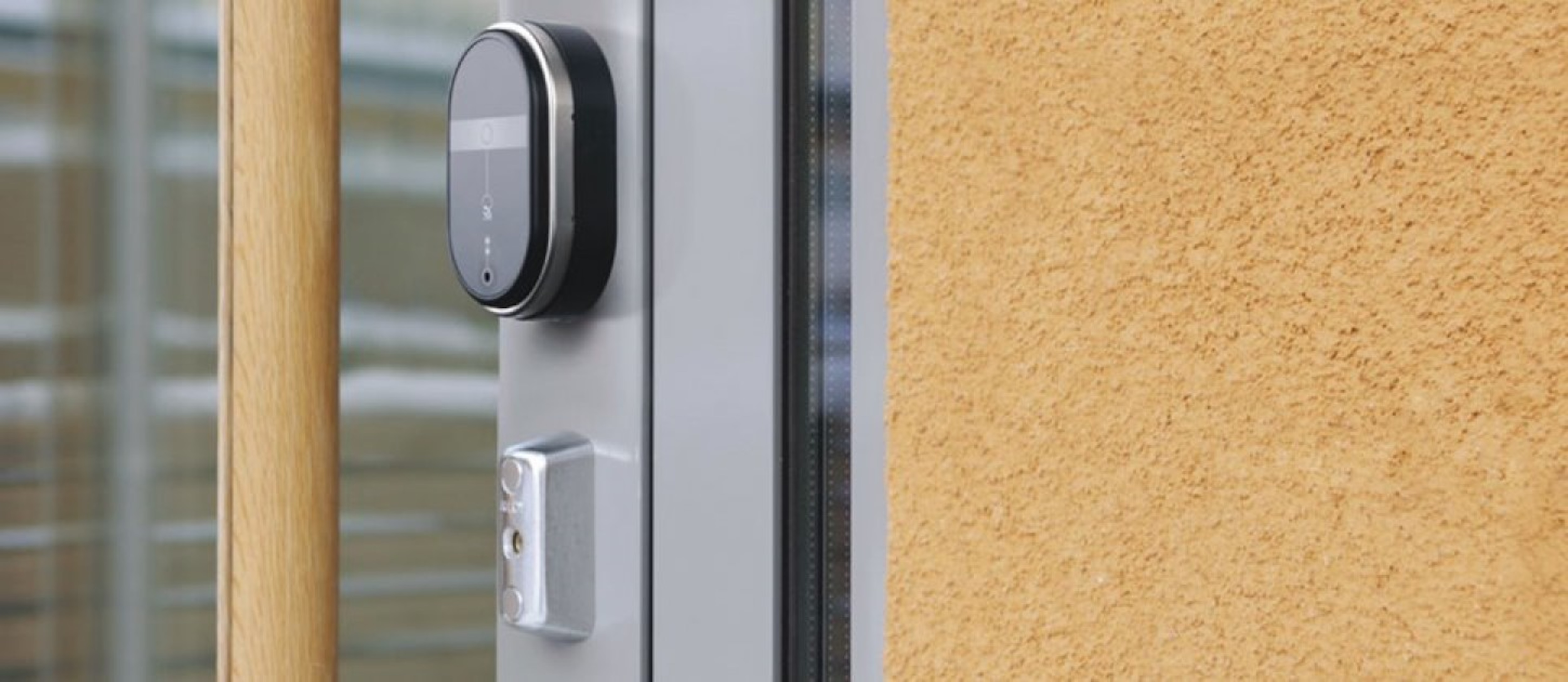 Image: No description