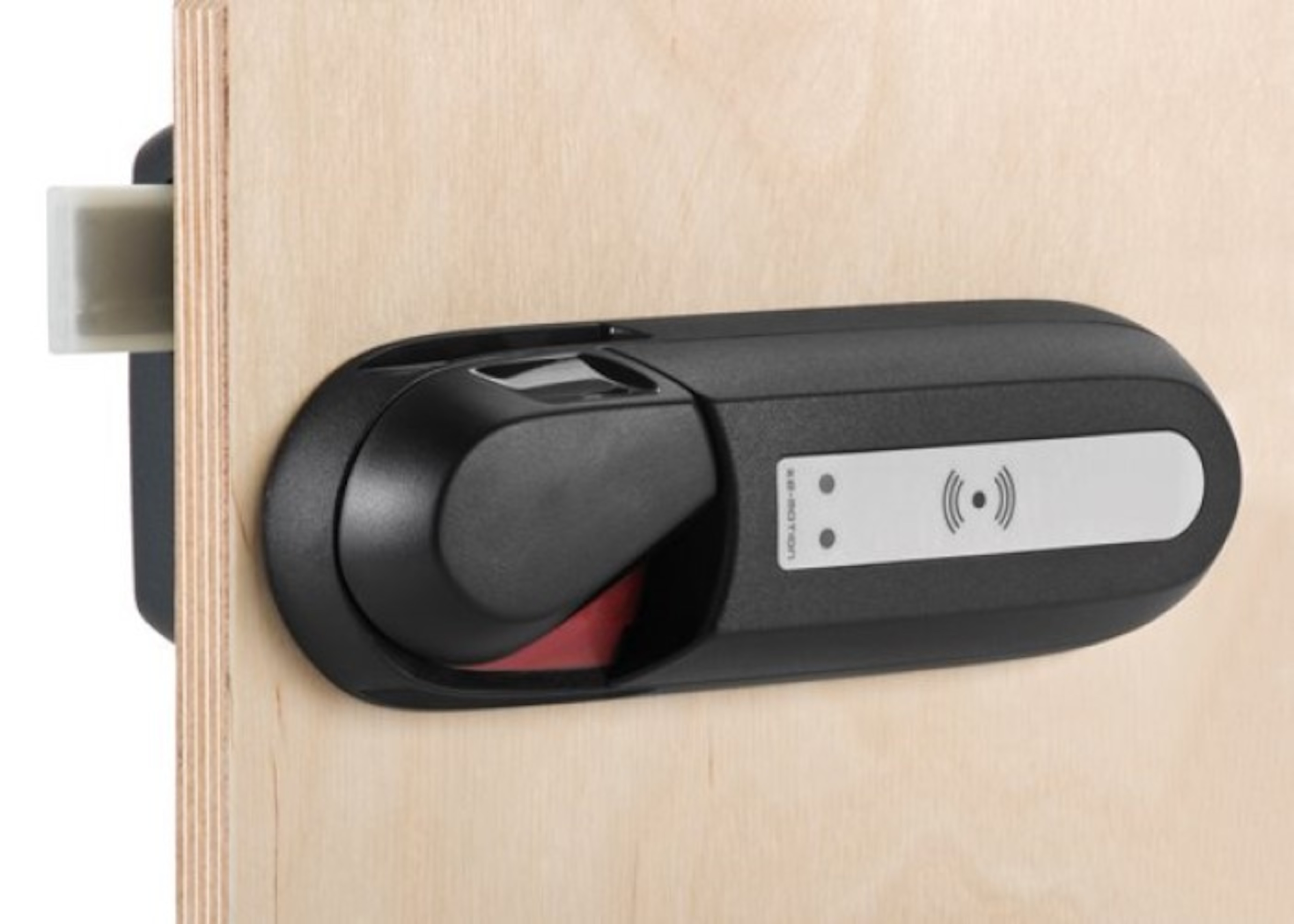 Image: No description