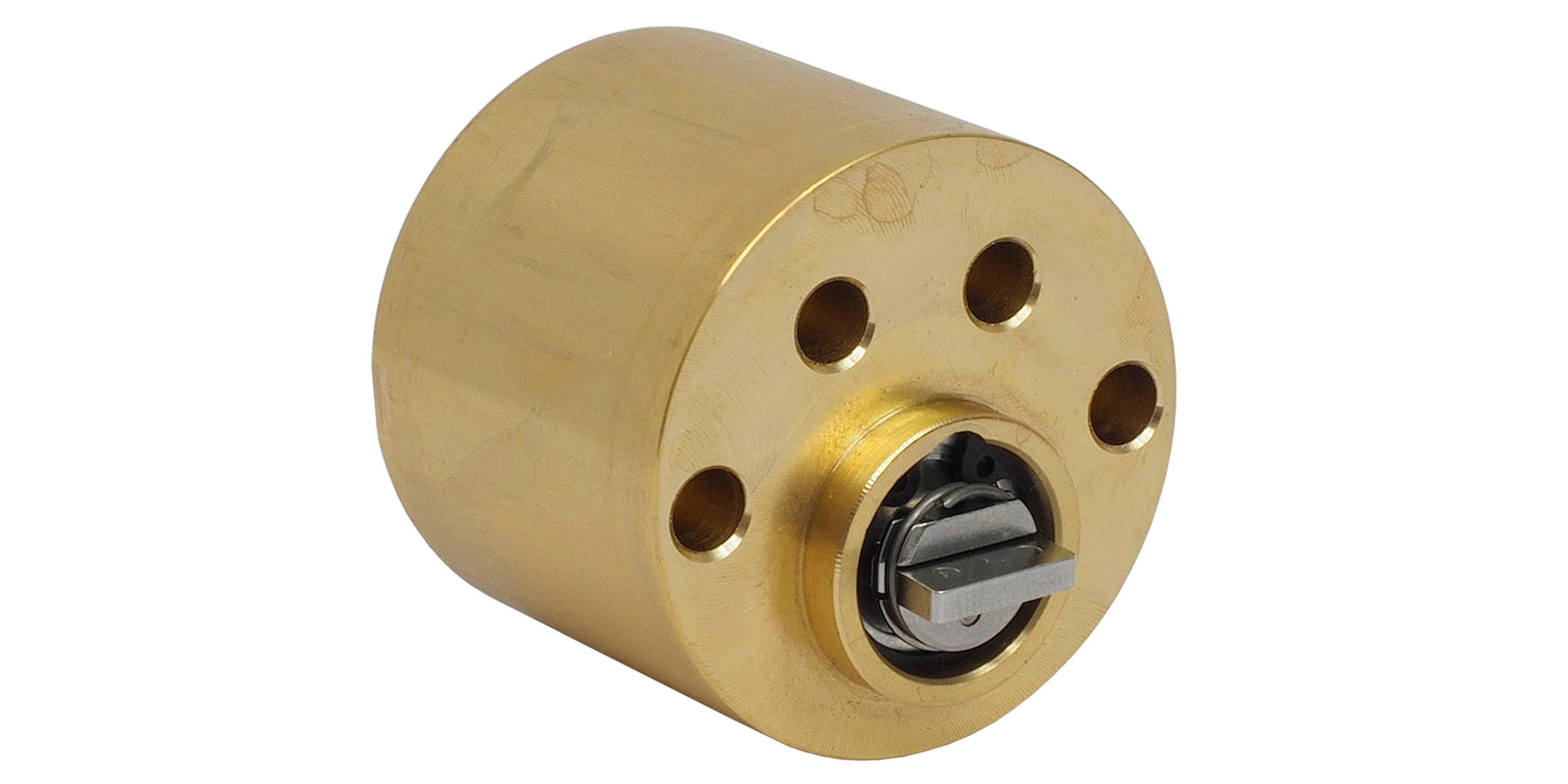 Image: No description