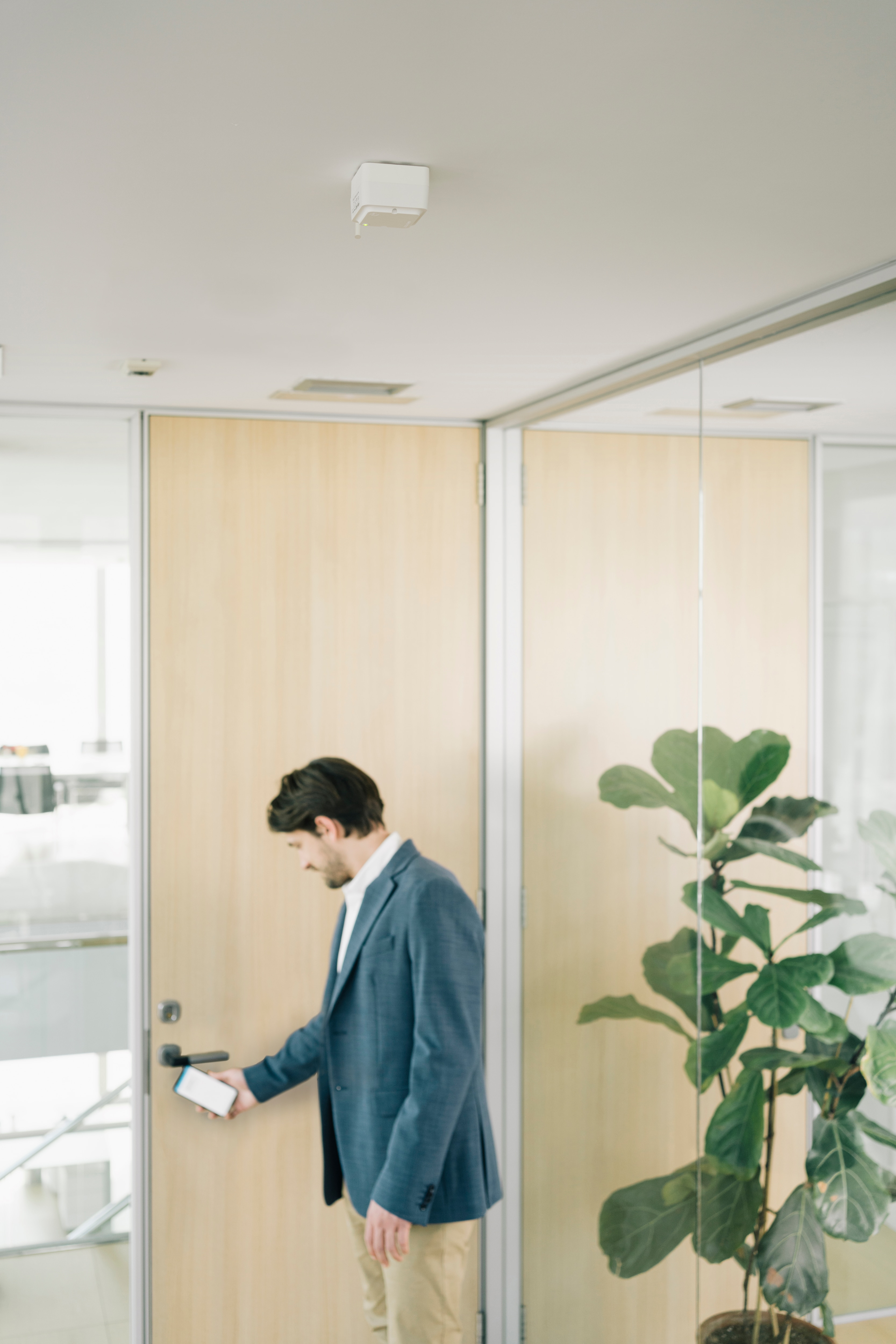 Image: No description