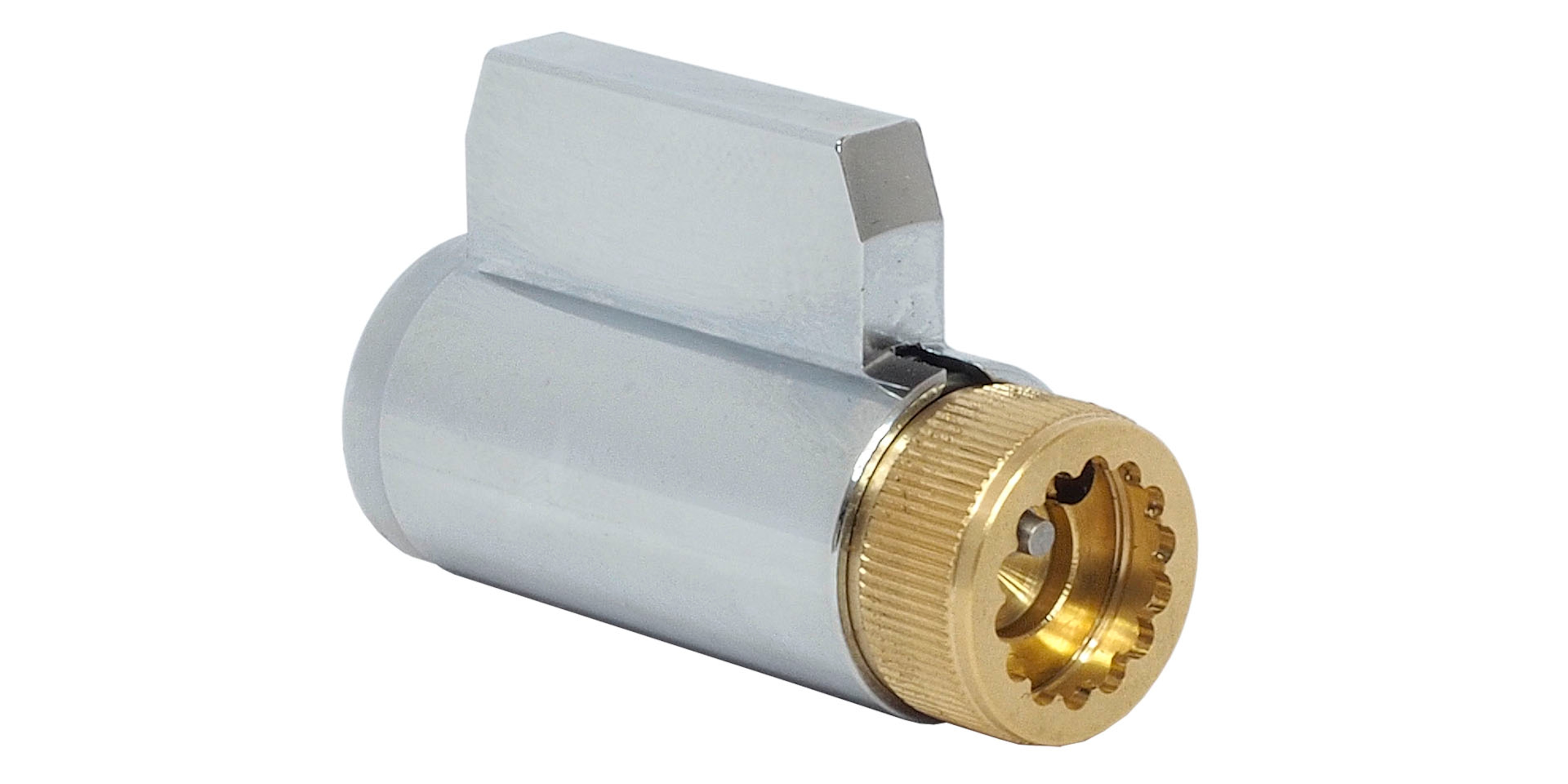 Image: No description