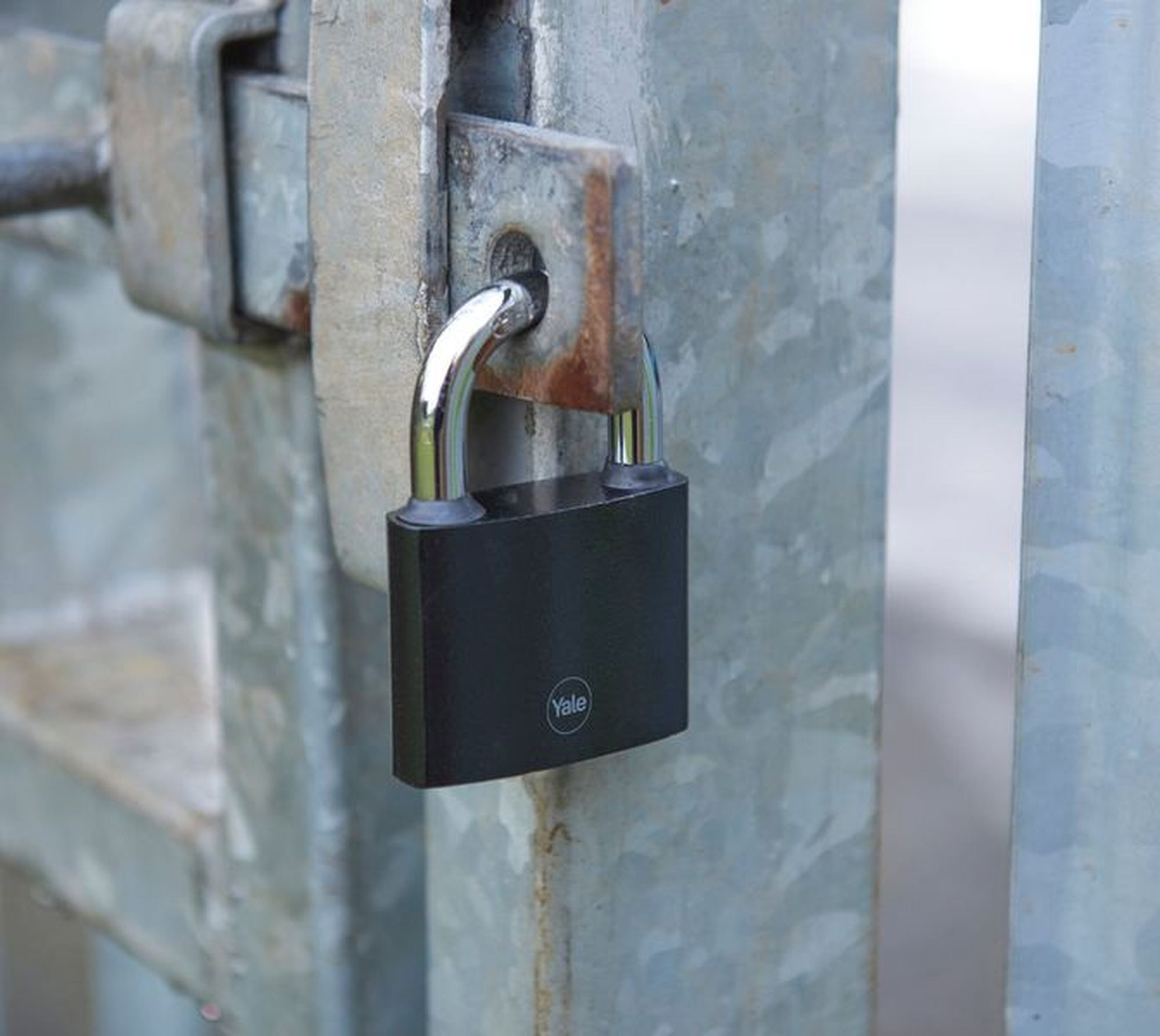 Image: No description