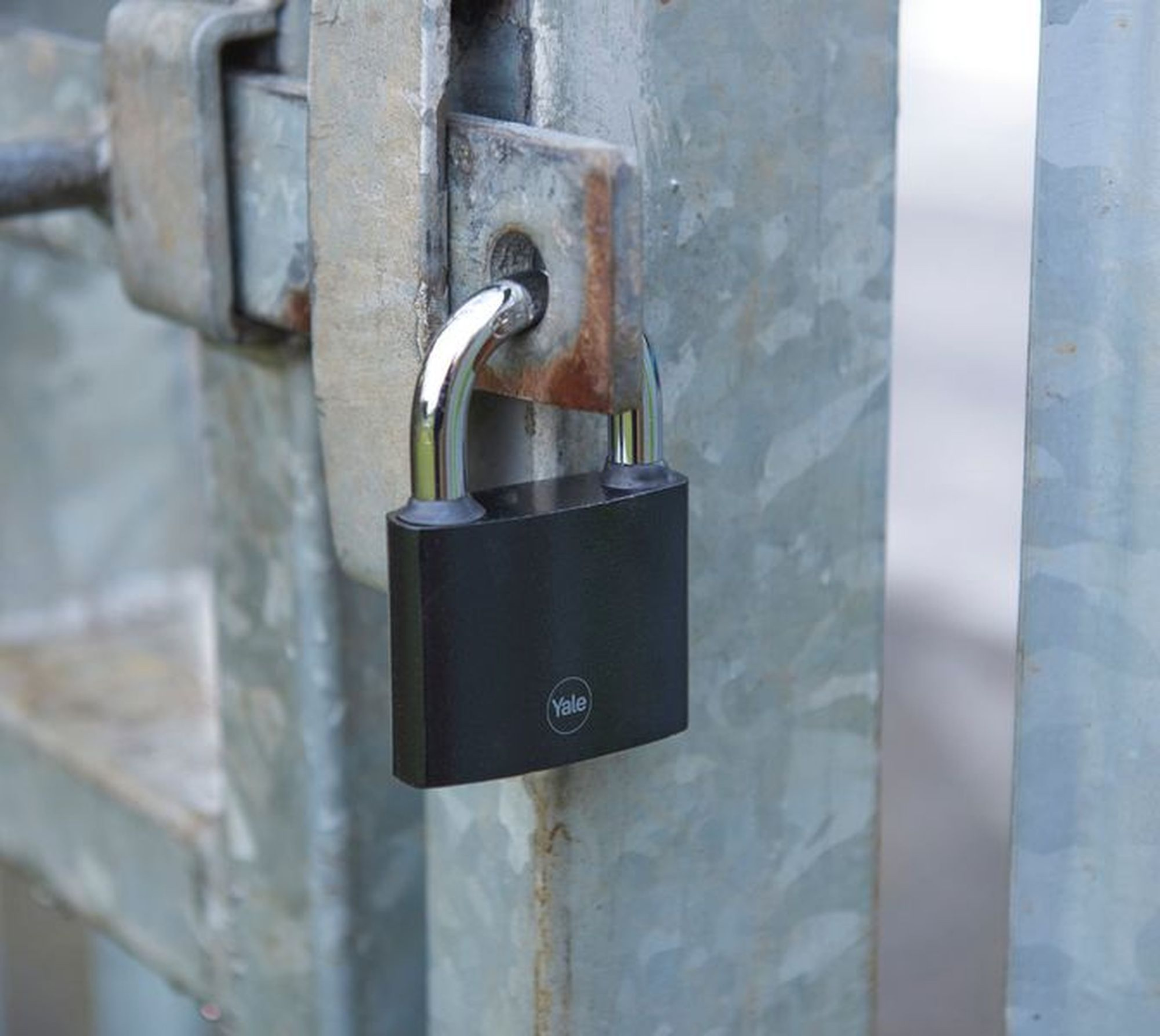 Image: No description