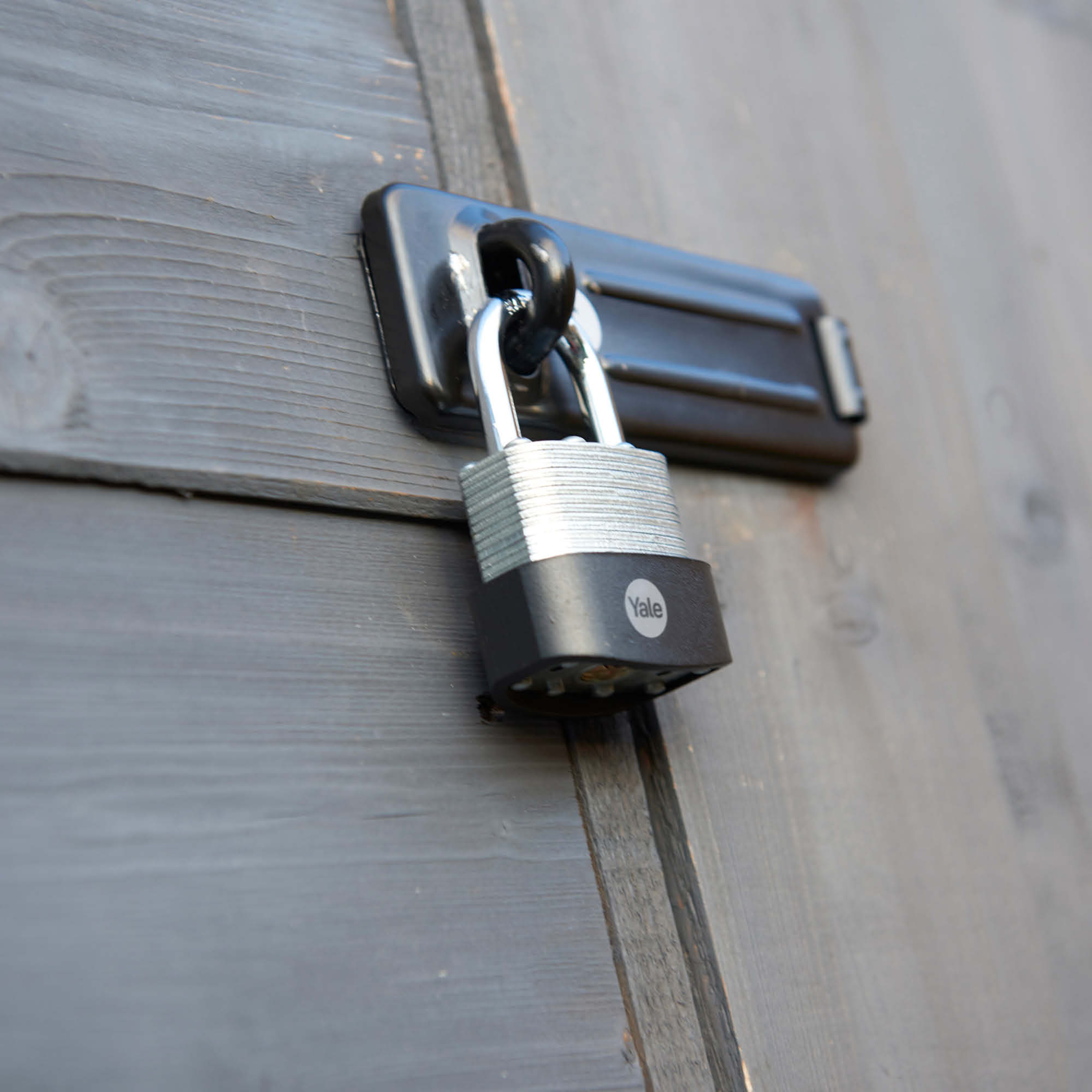 Image: No description