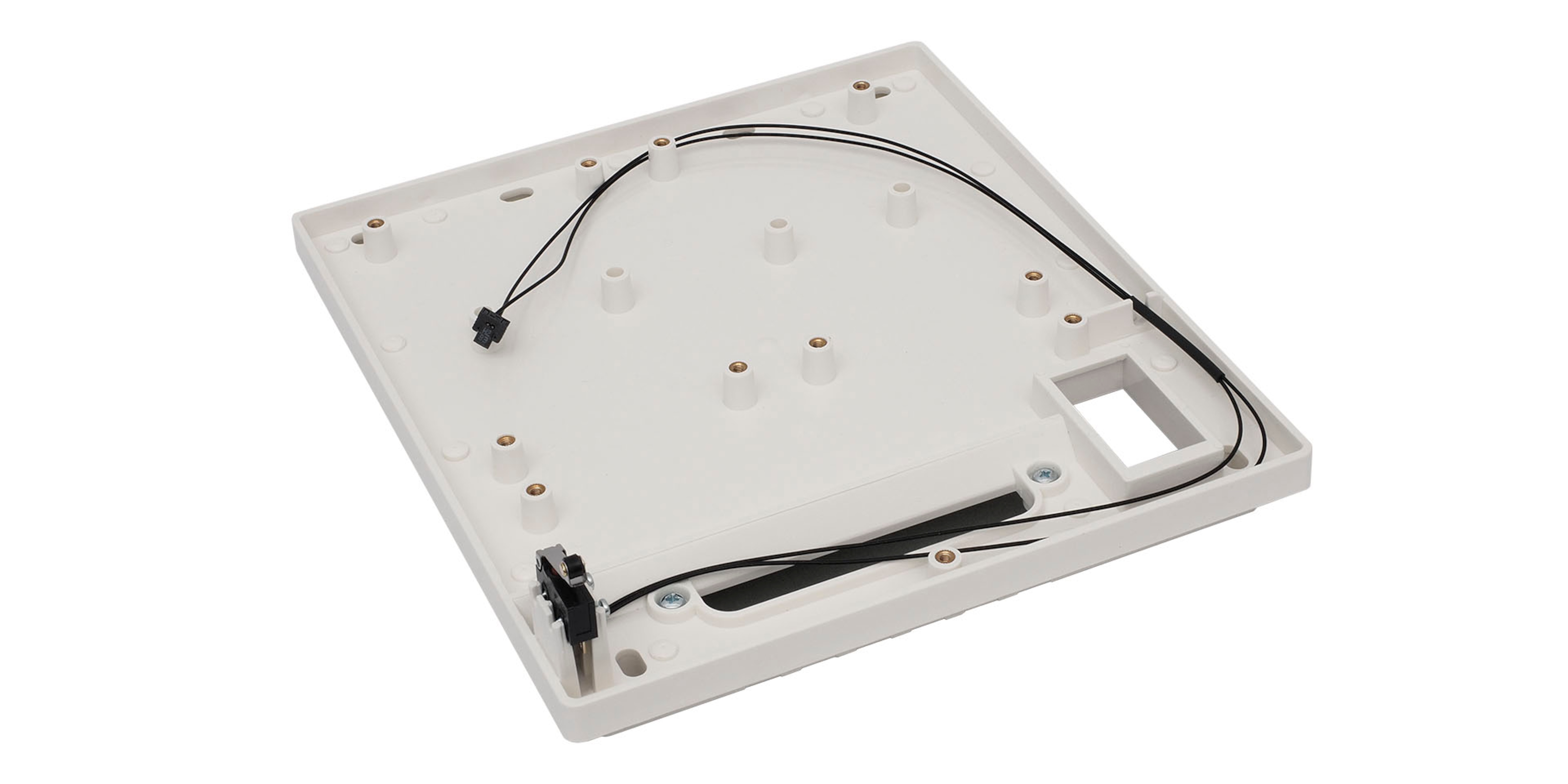 Image: No description