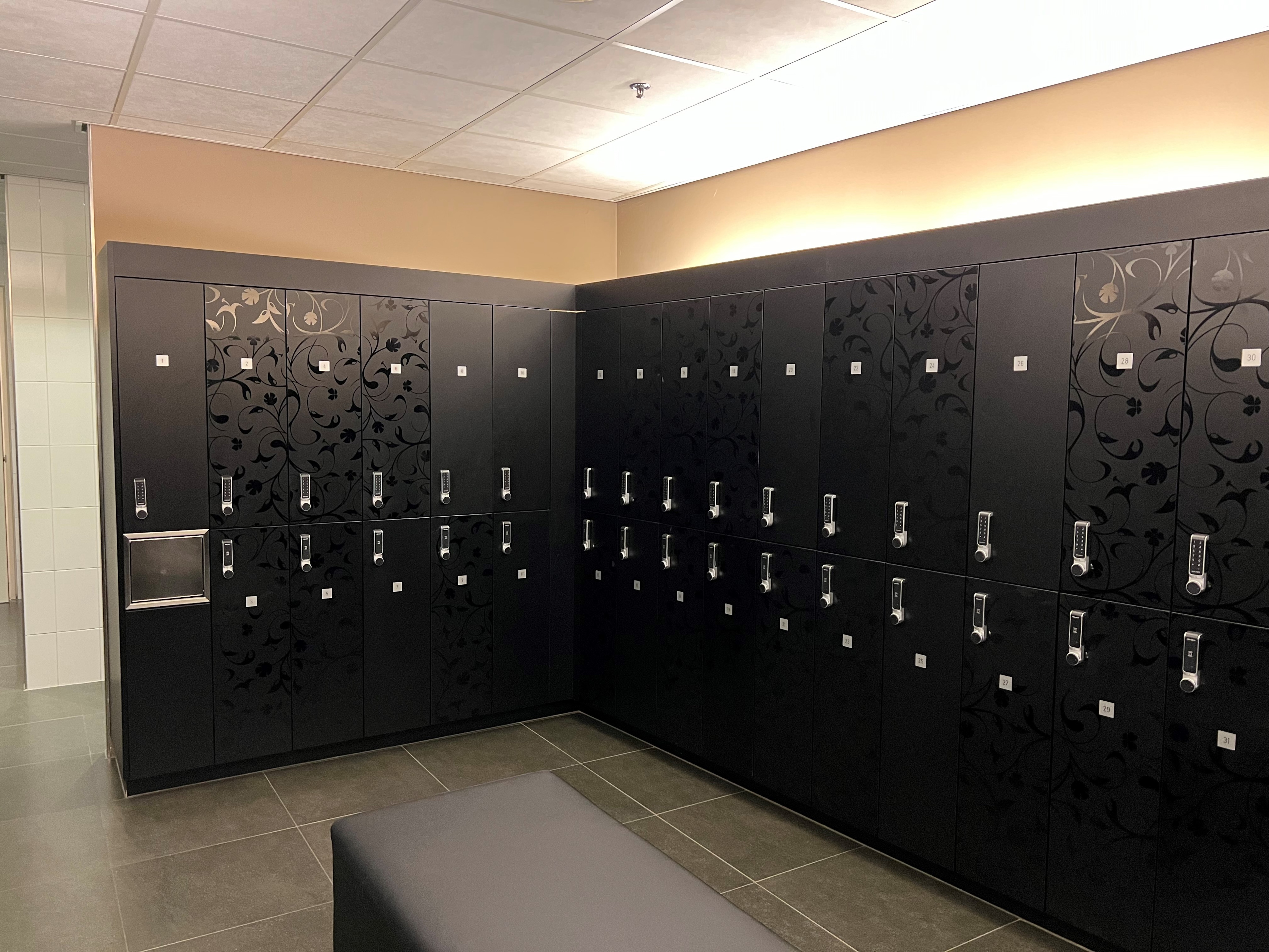 Image: No description