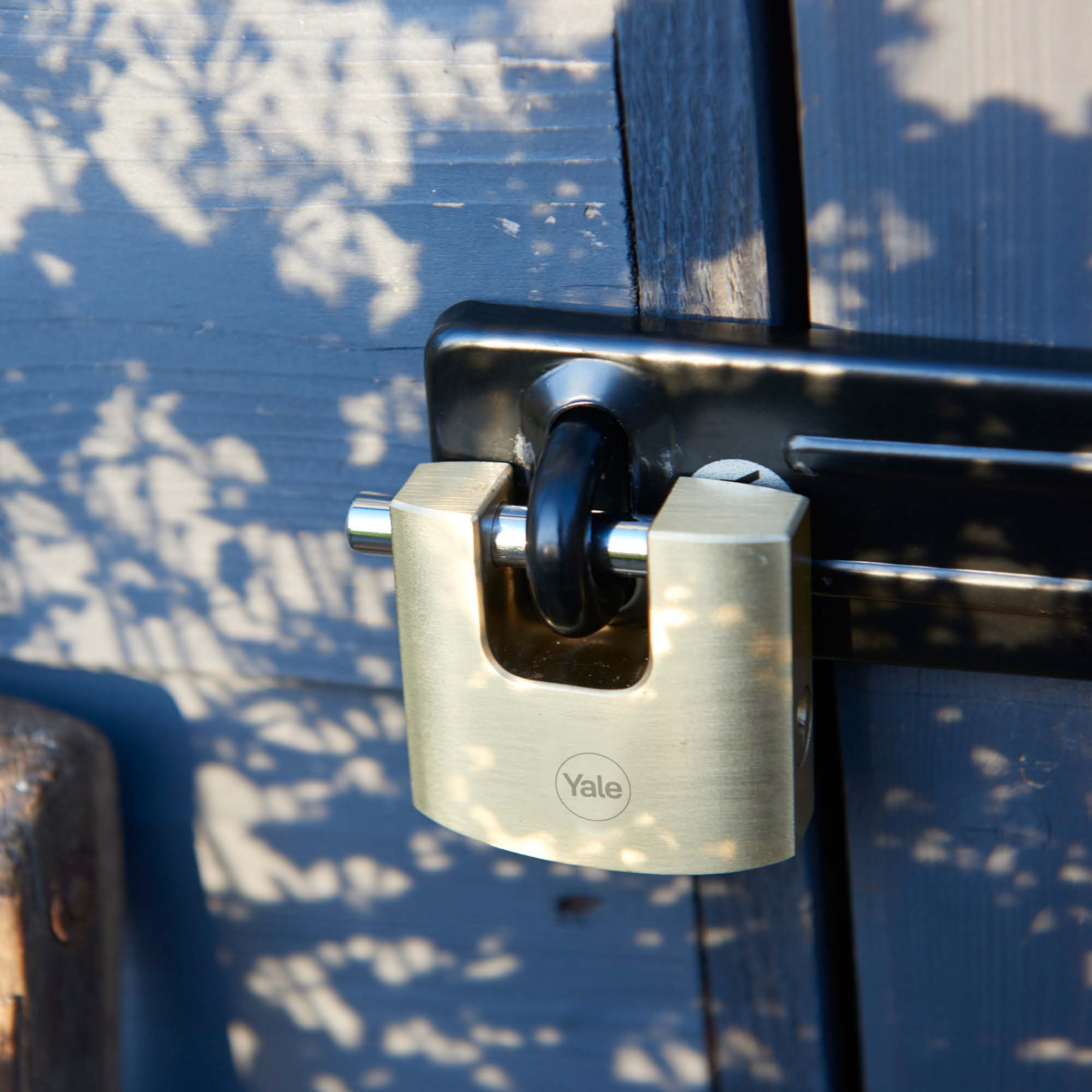 Image: No description