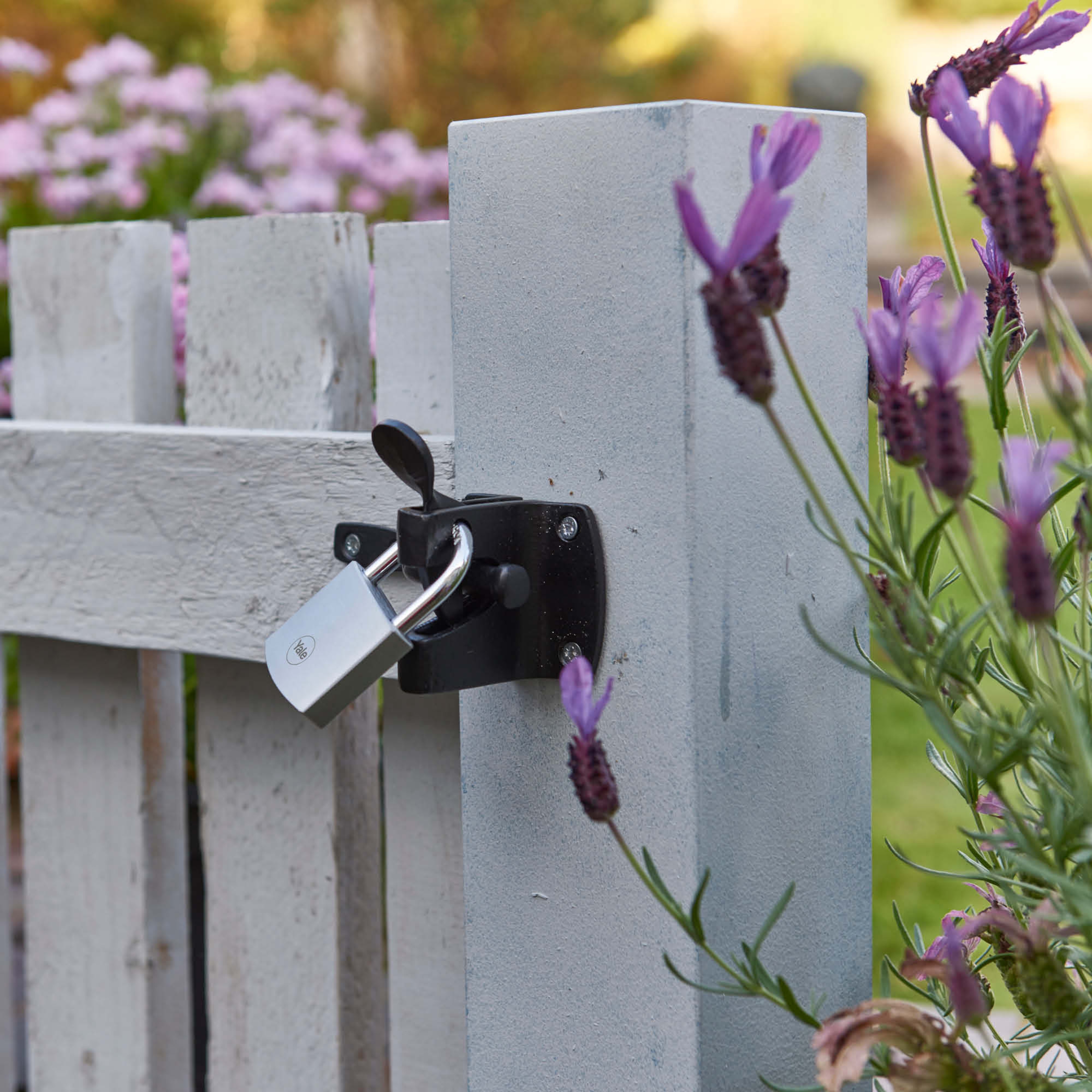 Image: No description