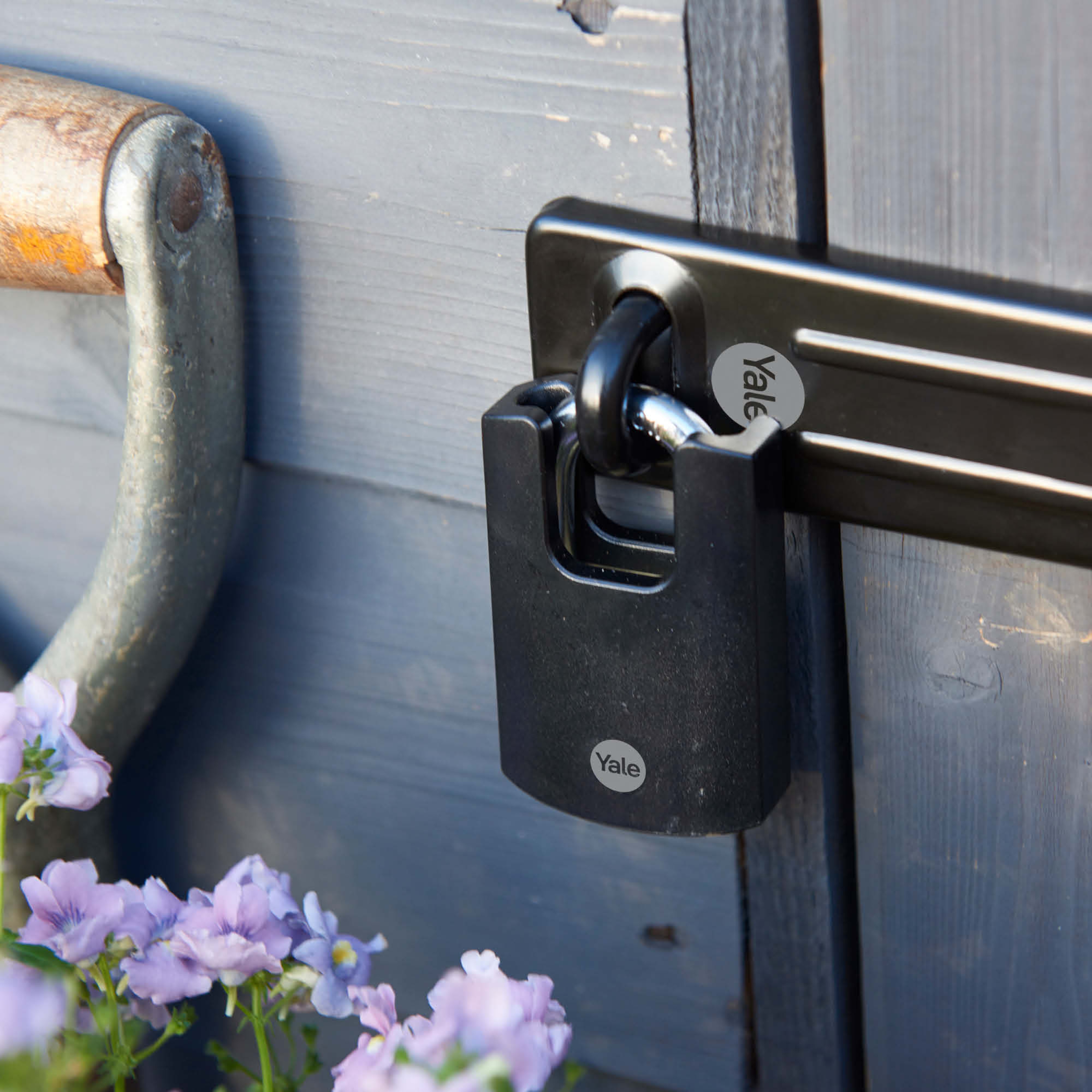 Image: No description