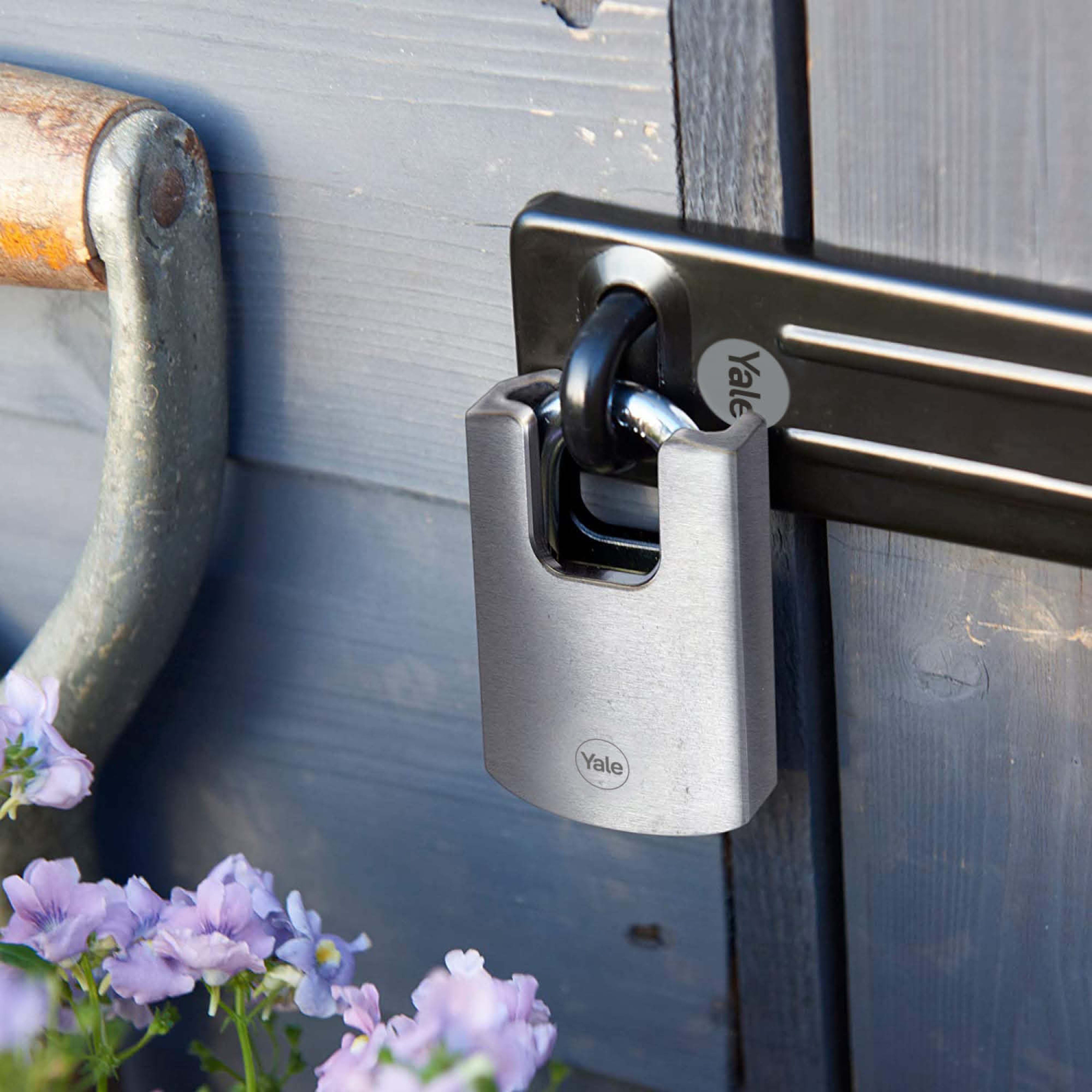 Image: No description