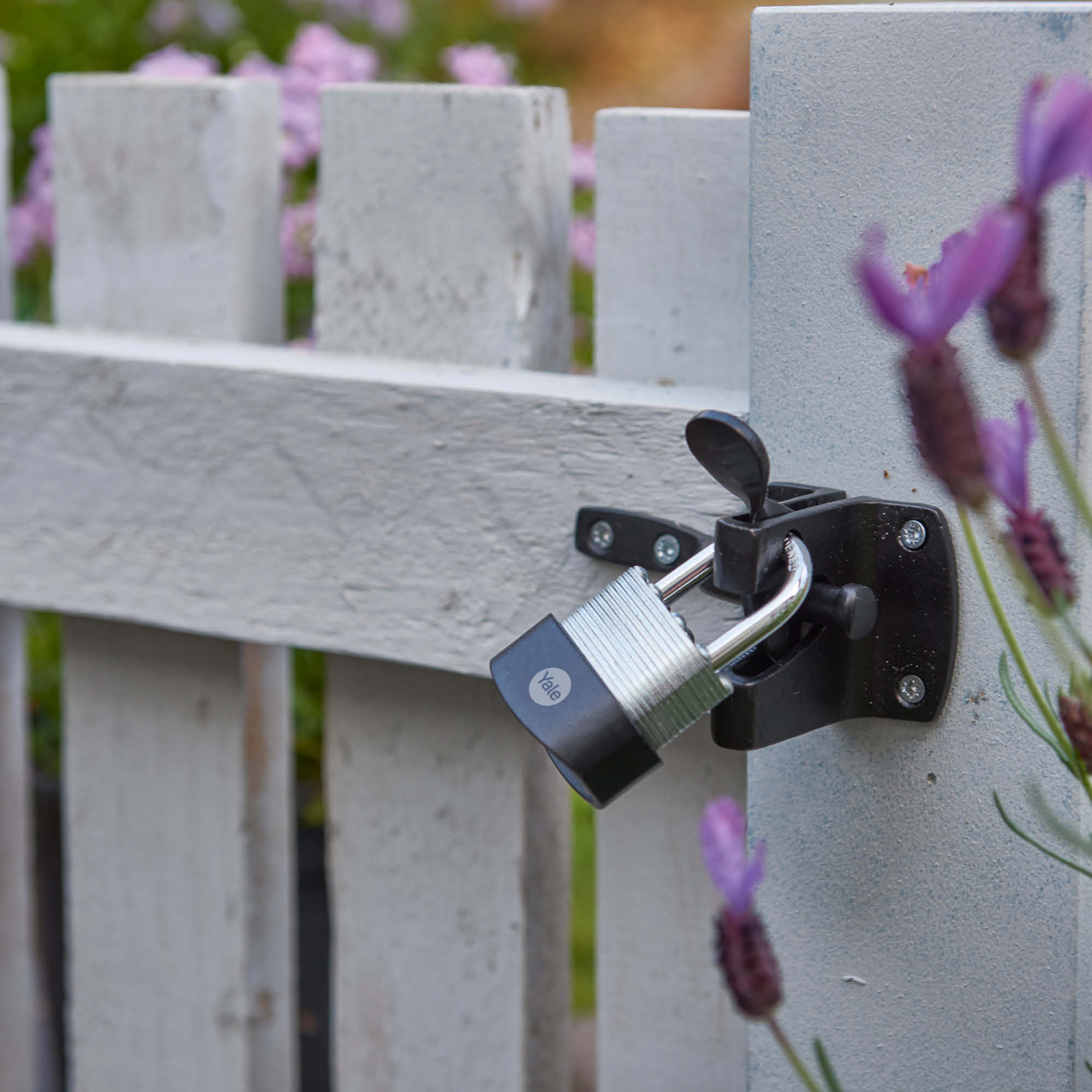 Image: No description