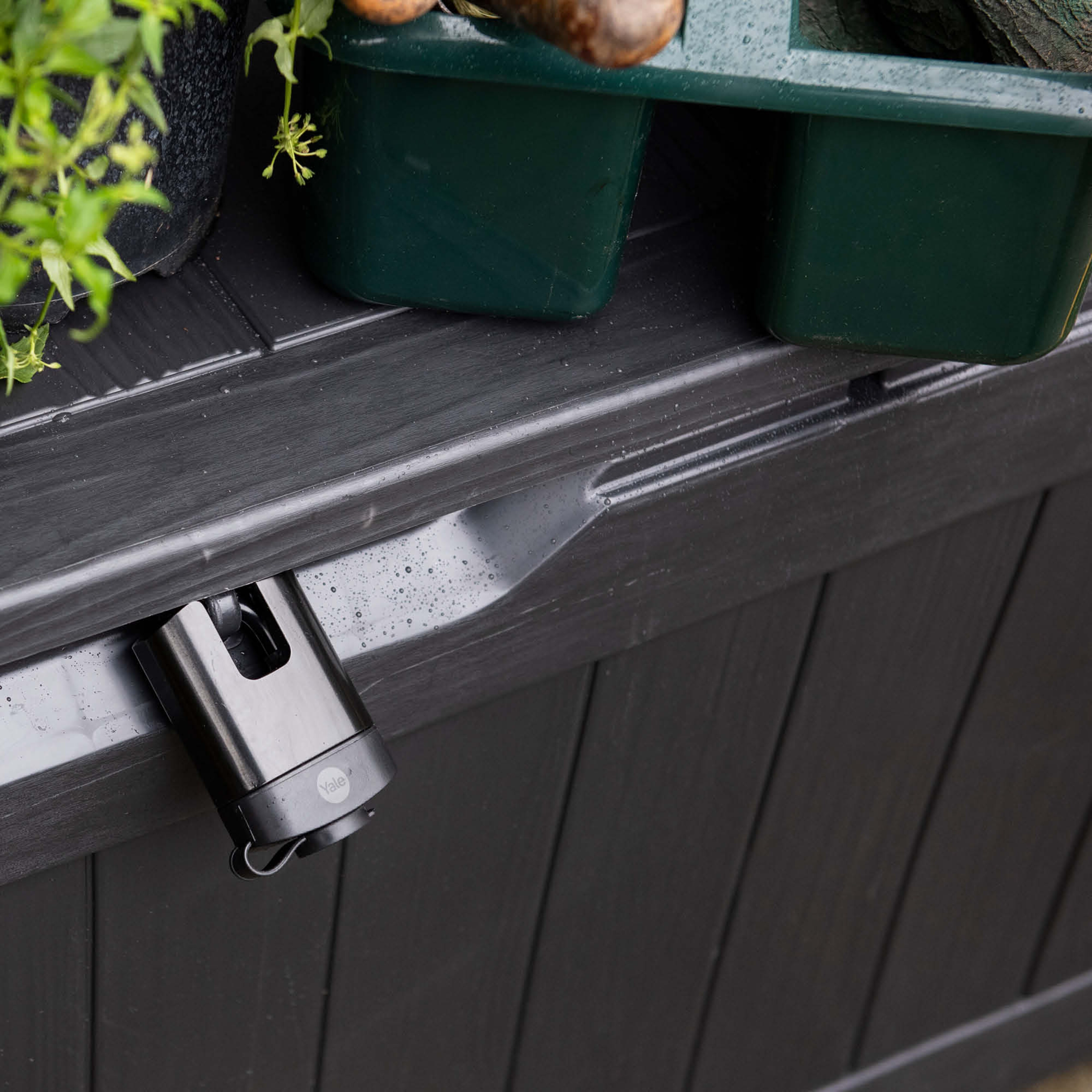 Image: No description